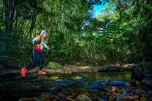 BIB: 
                            <button type="button" onclick="openModal(21764704)" class="btn btn-primary btn-sm float-right btn-popup" data-toggle="modal" data-target=".modal-high-quality">
                        <i class="fas fa-shopping-cart"></i> Add to Cart
                    </button>
                                            <button type="button" onclick="isThisMe(21764704, true)" class="btn btn-success btn-sm float-right btn-popup btn-isme hidden" data-toggle="tooltip" data-placement="bottom" title="นี่คือรูปของคุณใช่ไหม คลิกที่นี่เพื่อเอาเข้าอัลบั้ม">
                        <i class="fas fa-plus"></i> Add to album
                    </button>
                    <button type="button" onclick="isThisMe(21764704, false)" class="btn btn-warning btn-sm float-right btn-popup btn-isnotme hidden">
                        <i class="fas fa-ban"></i> Remove from album
                    </button>